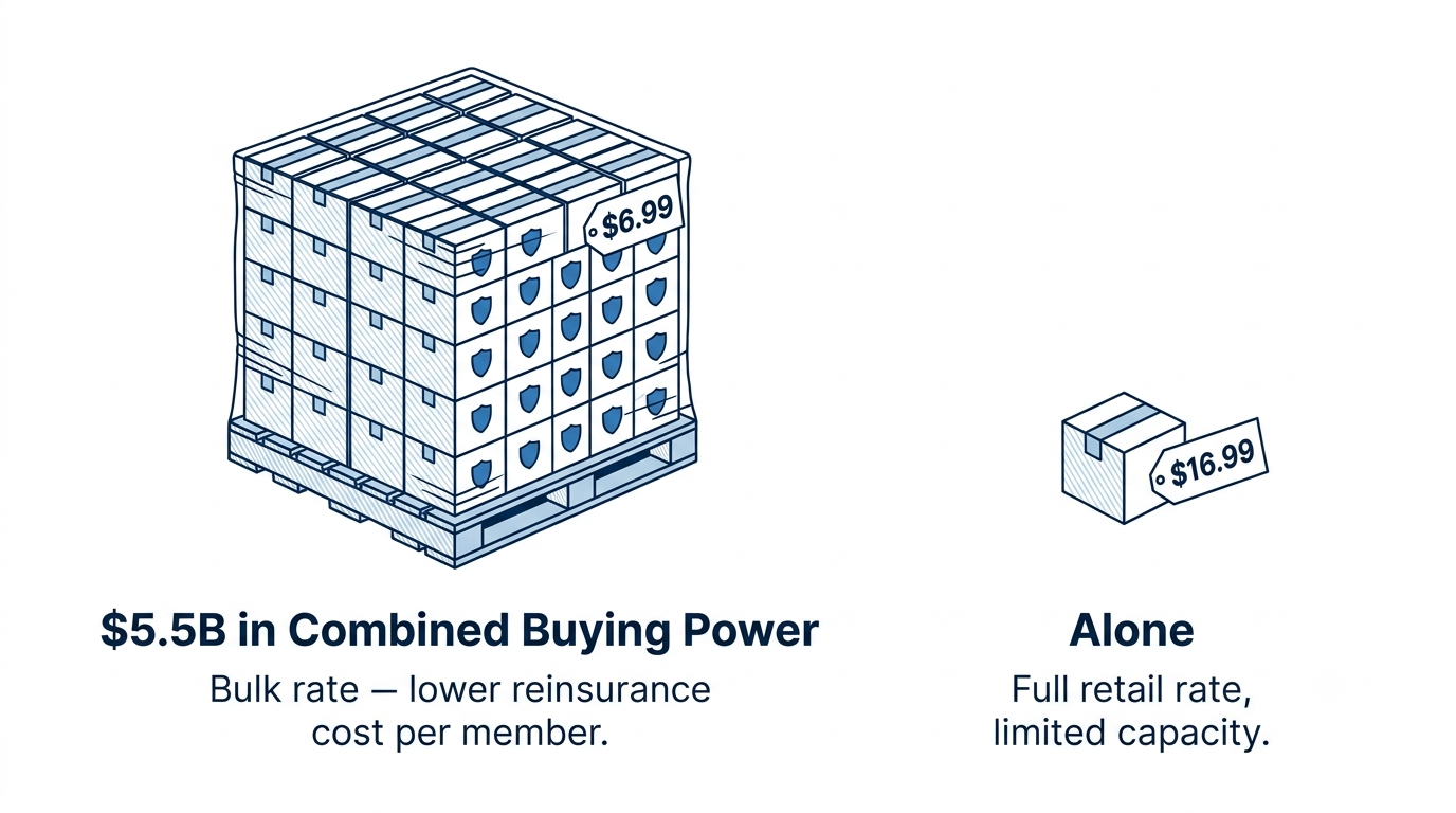 $5.5 billion in combined buying power versus buying insurance alone